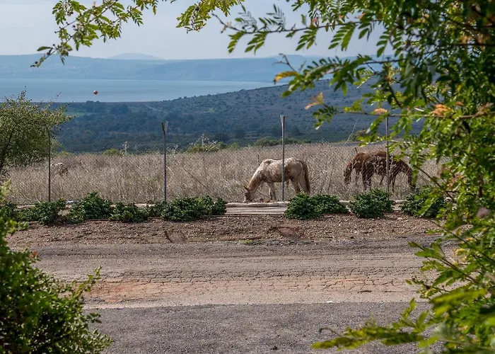 Nof Kinneret Cabins