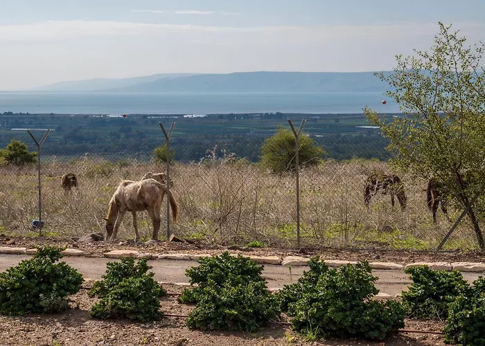 Nof Kinneret Cabins