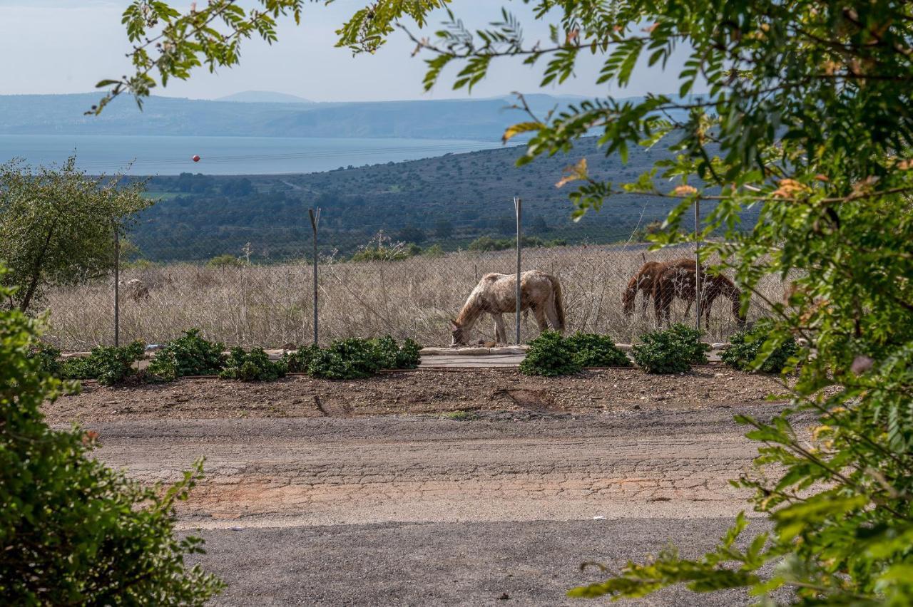 Lodge Nof Kinneret *