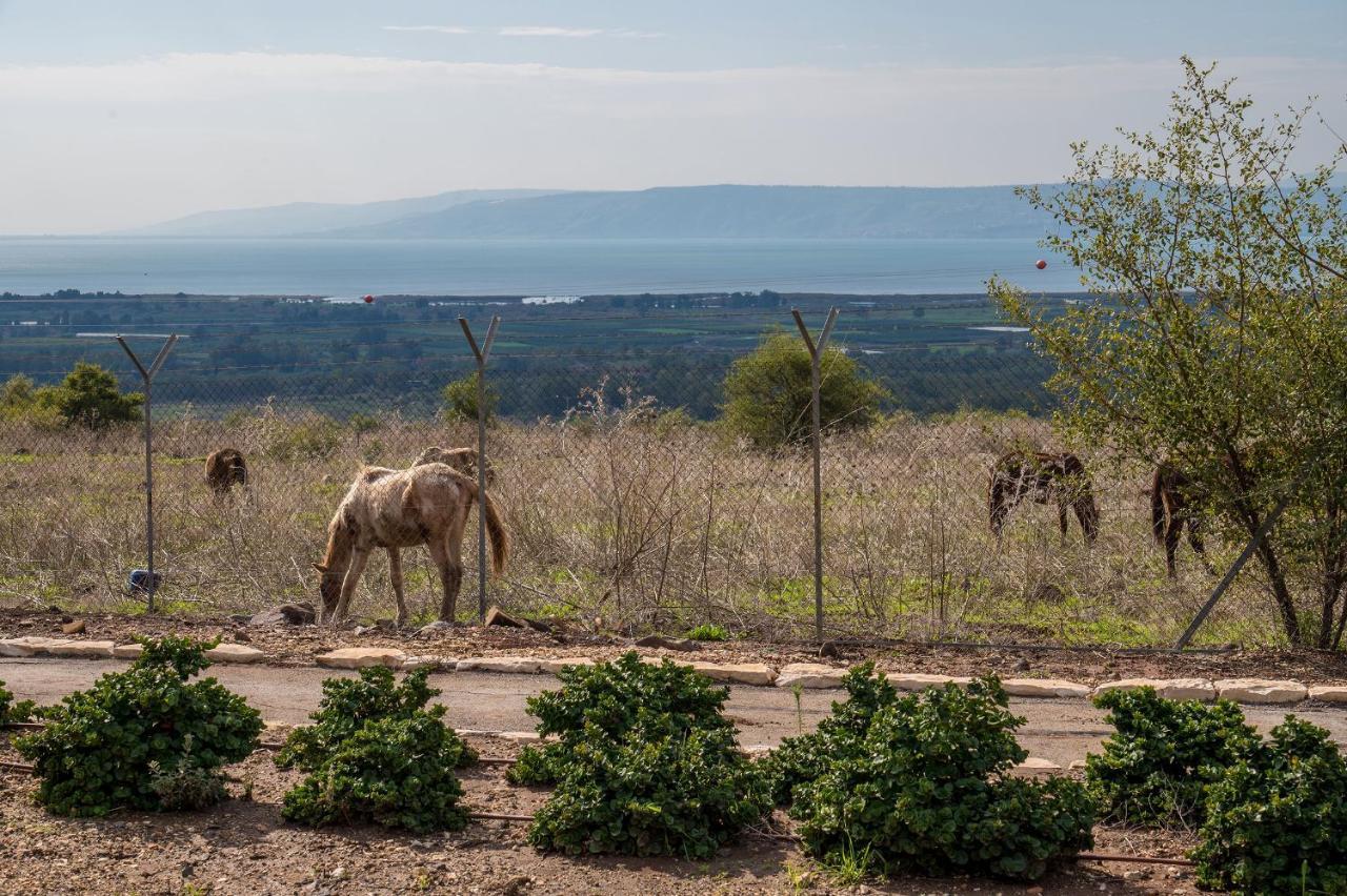 Lodge Nof Kinneret